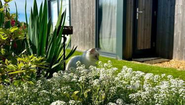 Cosy Studio with a field view - Foto 2