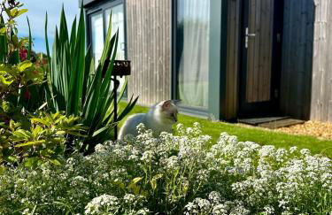 Cosy Studio with a field view - Foto 2