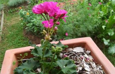 Ruralna kuća za odmor Pozojova hiža - Rural Holiday House - Foto 35