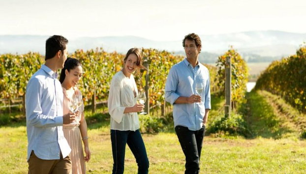 Yarra Valley, Chandon, queso y canguros al atardecer: tour de día completo en grupo reducido - Foto 5