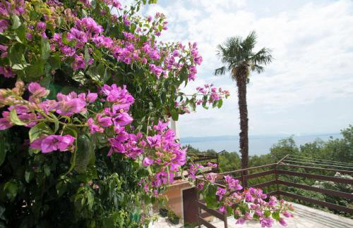 Apartment Alba - Photo 39