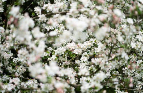 Ferienhof Homann Sauerland - Foto 14