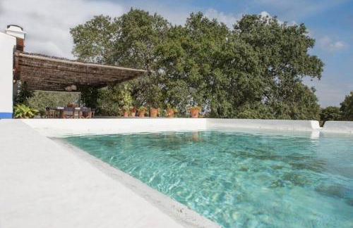 MONTE DO CORTIÇO - Foto 1