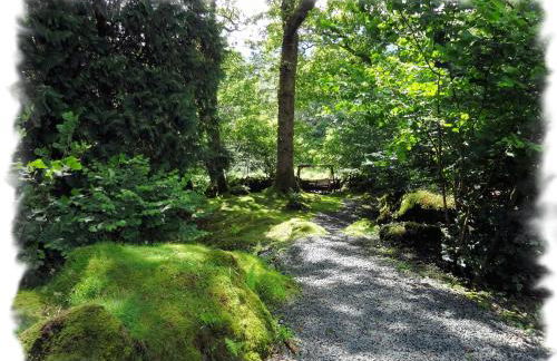 Blelham Tarn Rustic cabin in tranquil woodland - Foto 25