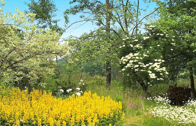 4 Person Holiday Home in Dingle - Foto 13