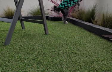 Moda home 3siblings - Foto 7