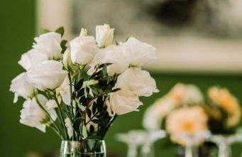 Agriturismo Il Riccio - Foto 29