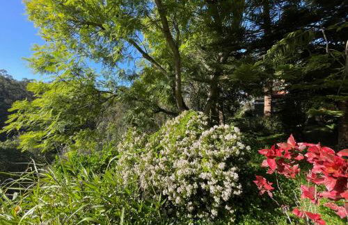 Finca El Lance Zumacal - Foto 21