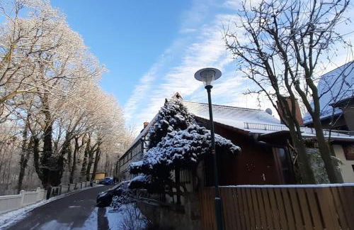 Kleines Ferienhaus Hoher Stein im Elbtal - Foto 14