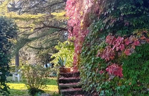 I Gelsi di Colombata Locazione turistica breve in campagna - Foto 44