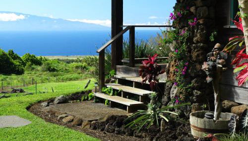 Kohala Lodge- Vacation Rental House - Foto 5, Garden