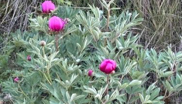 Casa del Espliego - Foto 2