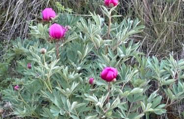 Casa del Espliego - Foto 2