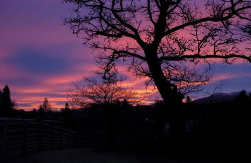 Room with a view - Photo 66