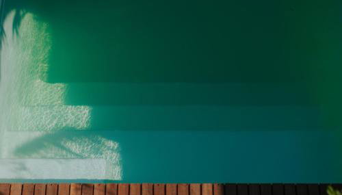 Breezy Sport House Chalé Ravenala - Foto 4