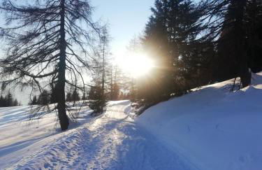 Cesa de Conesel - Foto 38