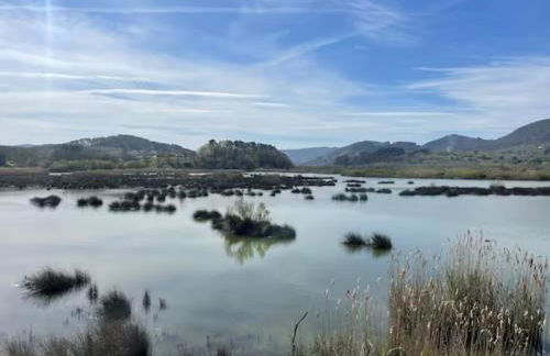 Ven y disfruta en el corazón de Bizkaia-Urdaibai LBI00509 - Foto 44