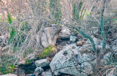 Casa Terra - Foto 21