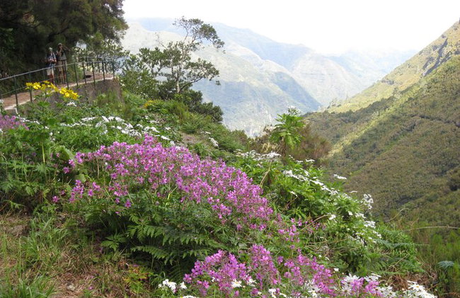 Rabaçal / Risco / 25 Fuentes Caminata de día completo - Foto 4