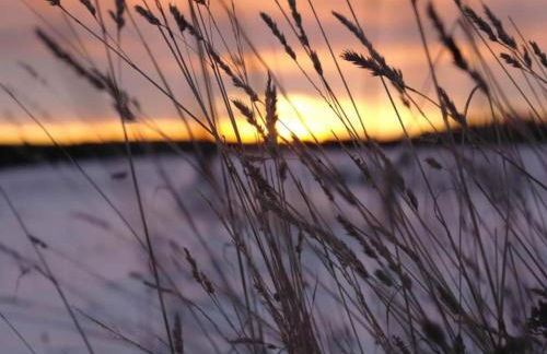 Hill-view Holiday Home in Dankerode near Lake and Hiking - Foto 74