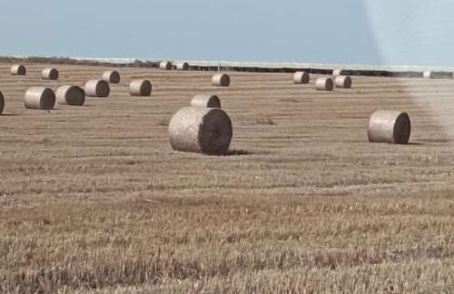 HOUSE PATTY, casa vacanze - Foto 24