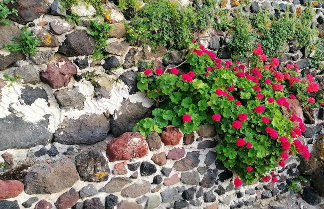 Panorama View - Foto 39