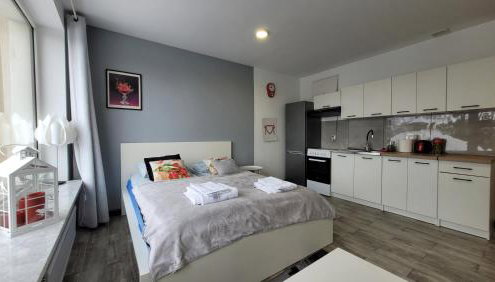 Apartamenty Parkowe nr 5 - Foto 4