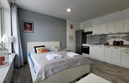 Apartamenty Parkowe nr 5 - Foto 4