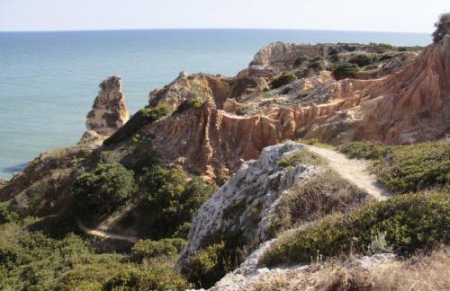 Dans les nuages - Photo 25