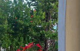 Olympos Philoxenia, μεταξύ βουνού και θάλασσας - Foto 37