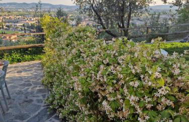 Agriturismo Villa Anna - Photo 55