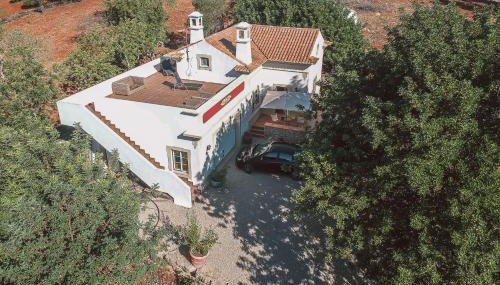 Monte 3 Alfarrobeiras - Foto 5