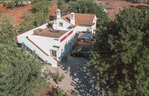 Monte 3 Alfarrobeiras - Foto 5