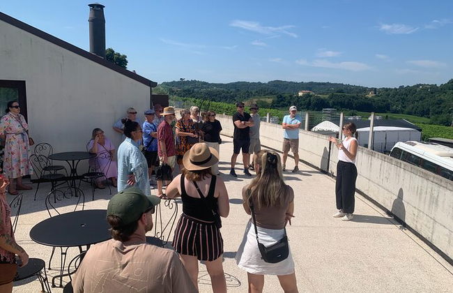 Premium Private Prosecco Hills Tour - 2 Cantine. Tour privato. - Foto 43