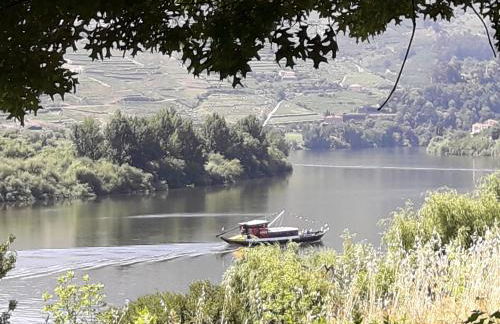 Casa do Feitor - Douro - Quinta da Cabrida - Foto 78