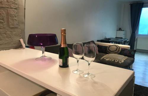 House next to Parc Astérix and Chateau de Chantilly - Foto 12