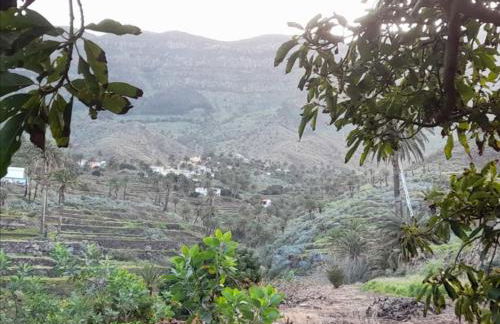 Casa María - Finca Medina - Foto 62