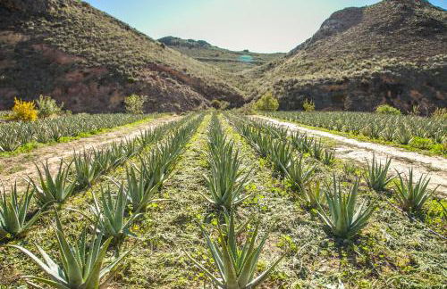 Precioso ático con vistas al mar y la montaña - Foto 30