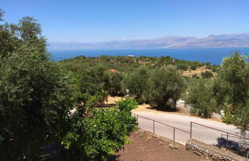 Efi Loutses - Foto 36