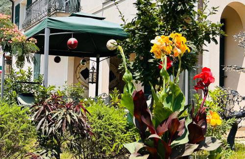 House of artist - Foto 62