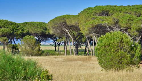 Apartment I Fontanili - Foto 3