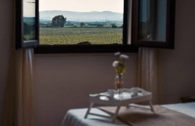 Tenute Delogu - Foto 20