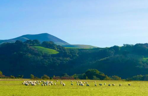 Un écrin dans la nature - Foto 10