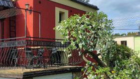 Puszczykowska willa - Foto 3