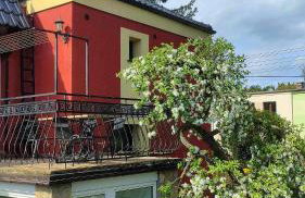 Puszczykowska willa - Foto 3