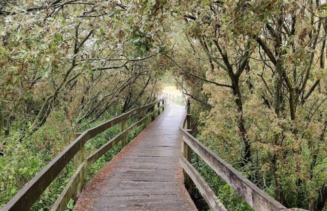 8 Person Holiday Home in Store Fuglede - Foto 12