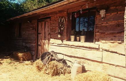 La Cabane Aux Loups - Foto 1