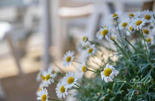 Ferienhäuser Ella Walter - Efeuhaus - Foto 41