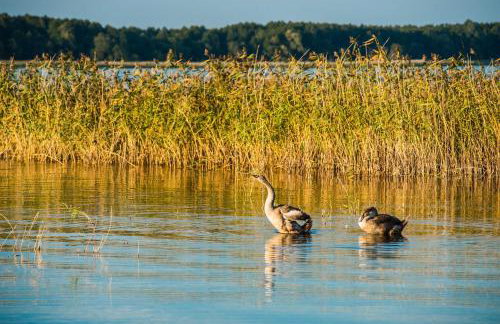 Aparthotel EuforiaPort - Foto 18