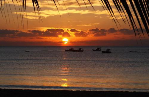 Proa Japaratinga - Foto 22